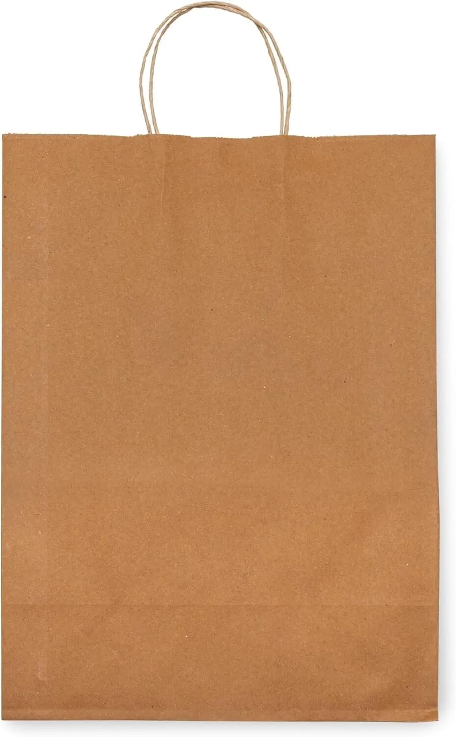 13x7x17 Brown Paper Bags with Handles