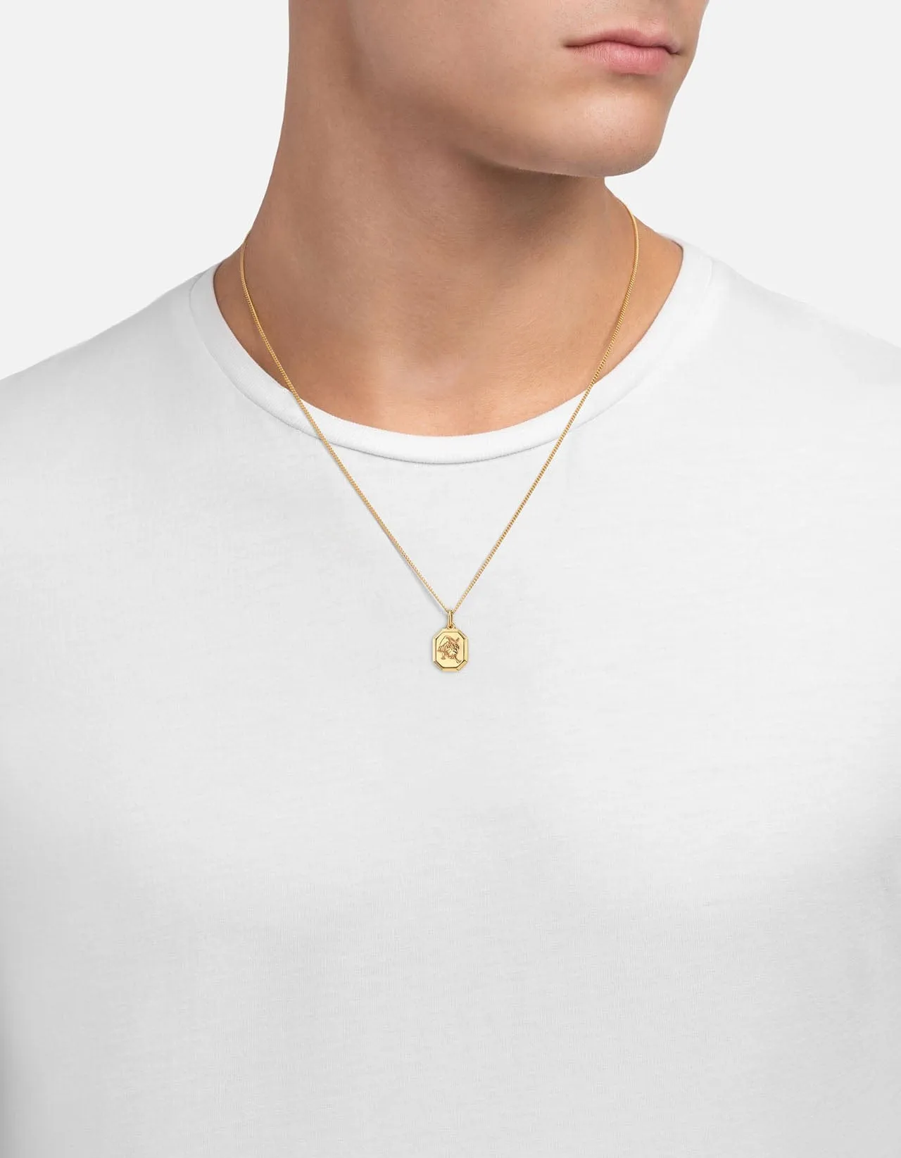 Leo Nyle Necklace, Gold Vermeil