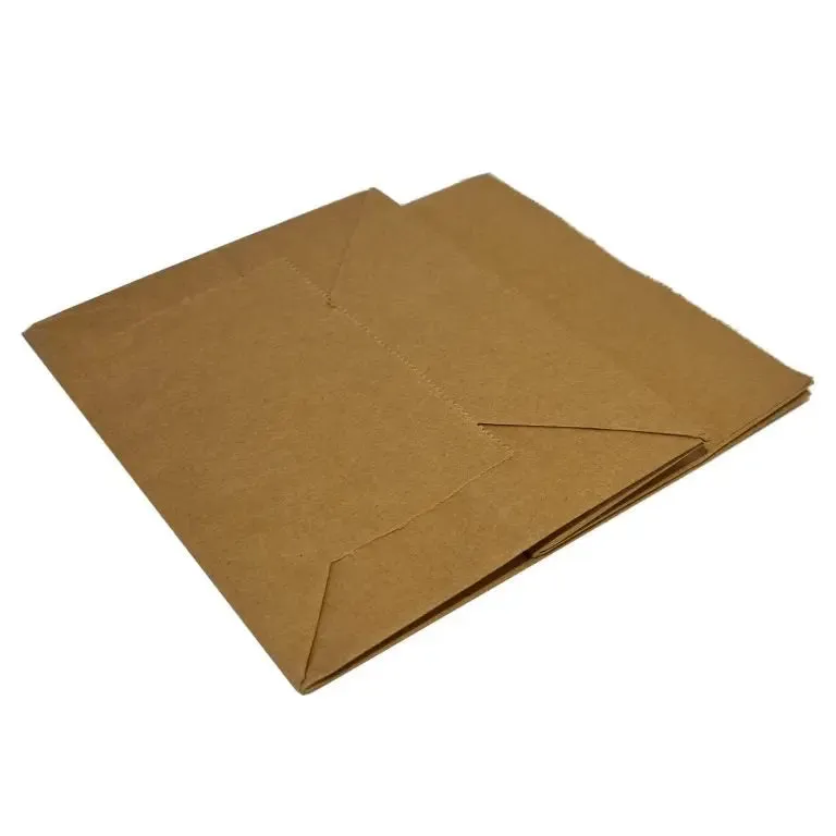 Maze Compostable Paper Bags